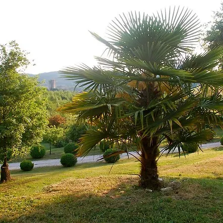 Domaine Le Peyrou Bed & Breakfast